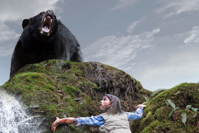 The 10 Scary Bear Movies That Will Make You Fear the Great Outdoors More