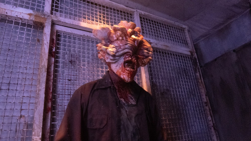 HHN_2023-20