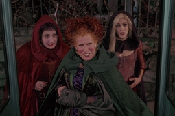 Hocus