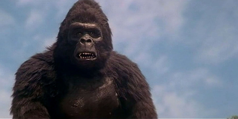 Every King Kong Movie Ranked from Worst to Best