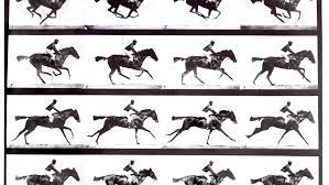 Muybridge jockey clip.jpeg