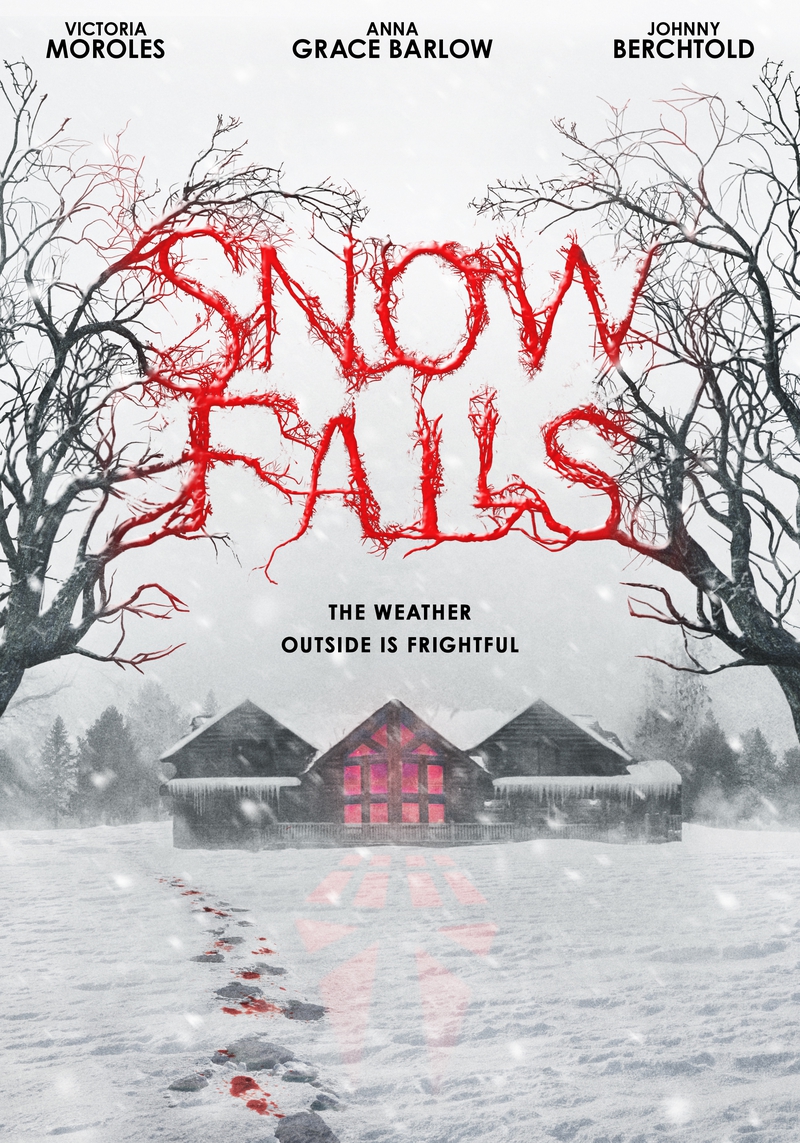 SNOW-FALLS_DVD_