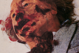 fango 20 creepshow .png