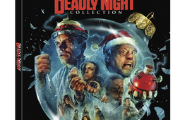 Silent.Night Deadly Night 3 Film Collection BD OCard 3D