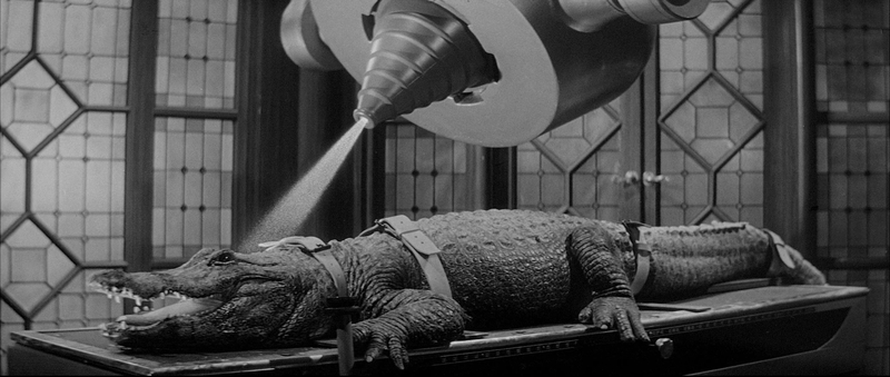 The Alligator People (1959)