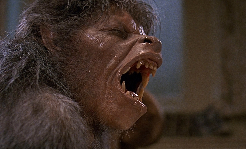 Year of the Wolf: A Triptych Of Lycanthropy From 1981