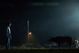 blood-dog-header