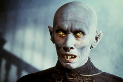 salems-lot-header-new