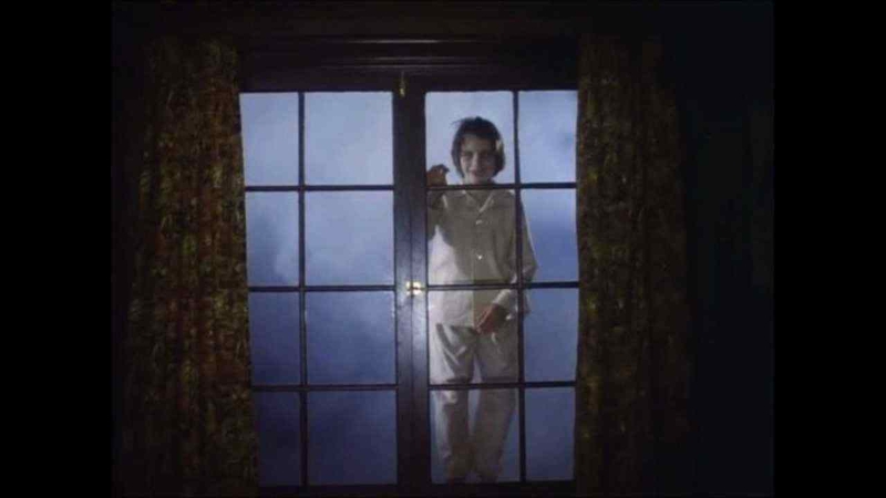 salems-lot-window