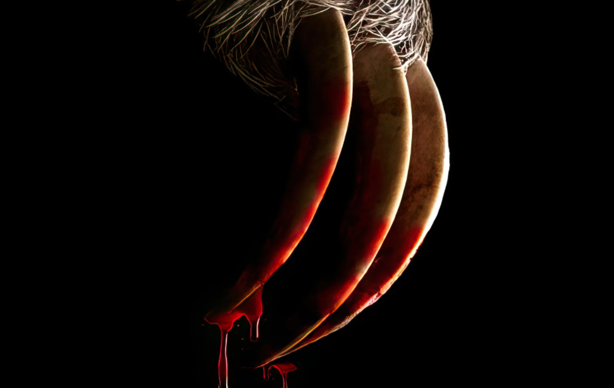 SLOTHERHOUSE Sounds Like The "Sloth Vs. Sorority Girls" Horror-Comedy