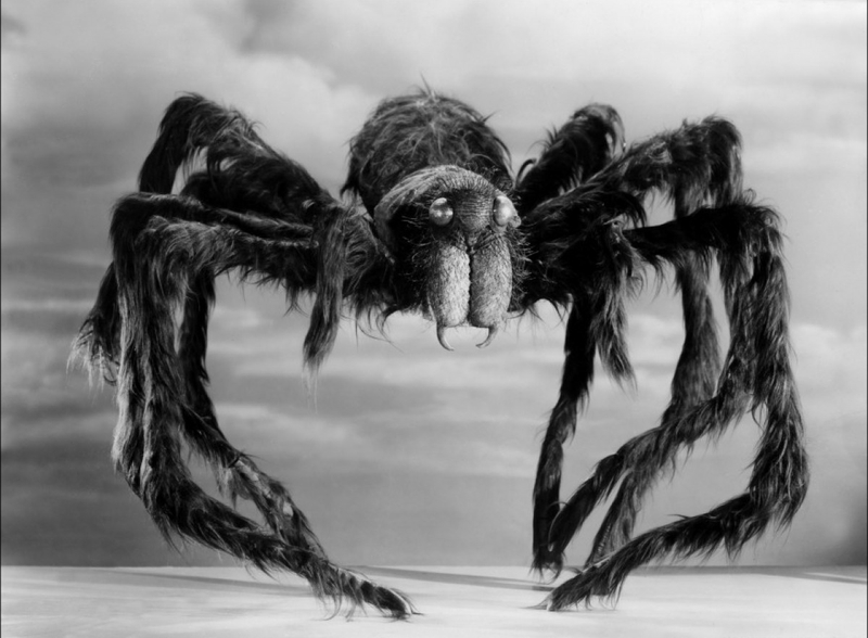 tarantula1955_2